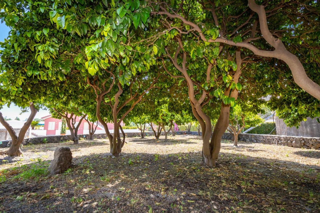 Dipladenia Garden Country Resort Mascali Dış mekan fotoğraf