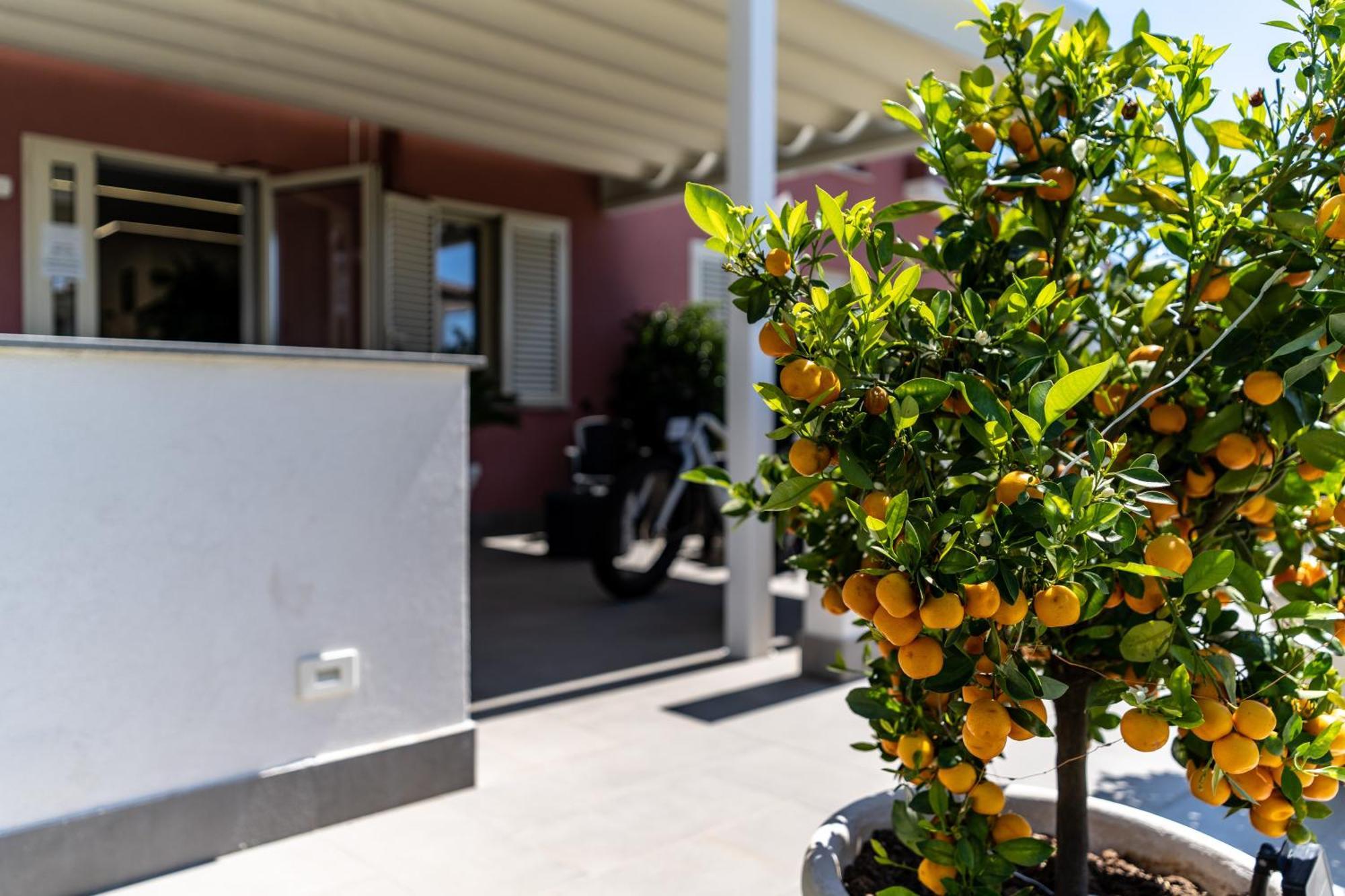 Dipladenia Garden Country Resort Mascali Dış mekan fotoğraf